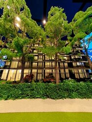 Jervois Road (D10), Condominium #442879631